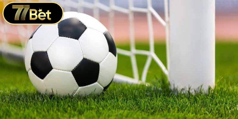 Chiến lược đầu tư thể thao thông minh và hiệu quả