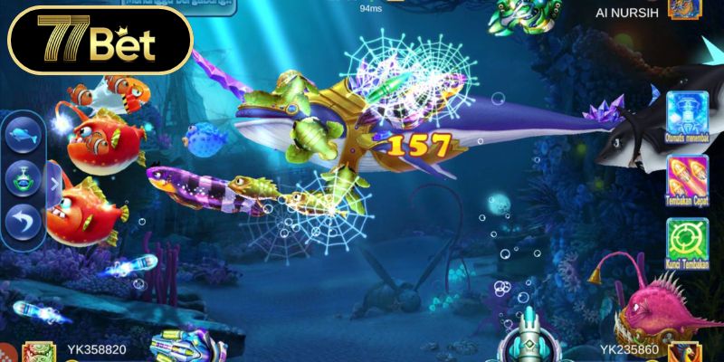 Quản lý ngân sách thông minh khi chơi cá